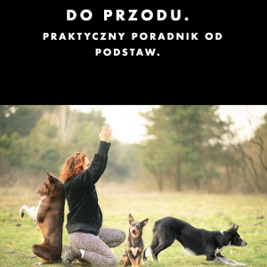 "Face out i chodzenie do przodu" poradnik w formie e-booka z filmikami