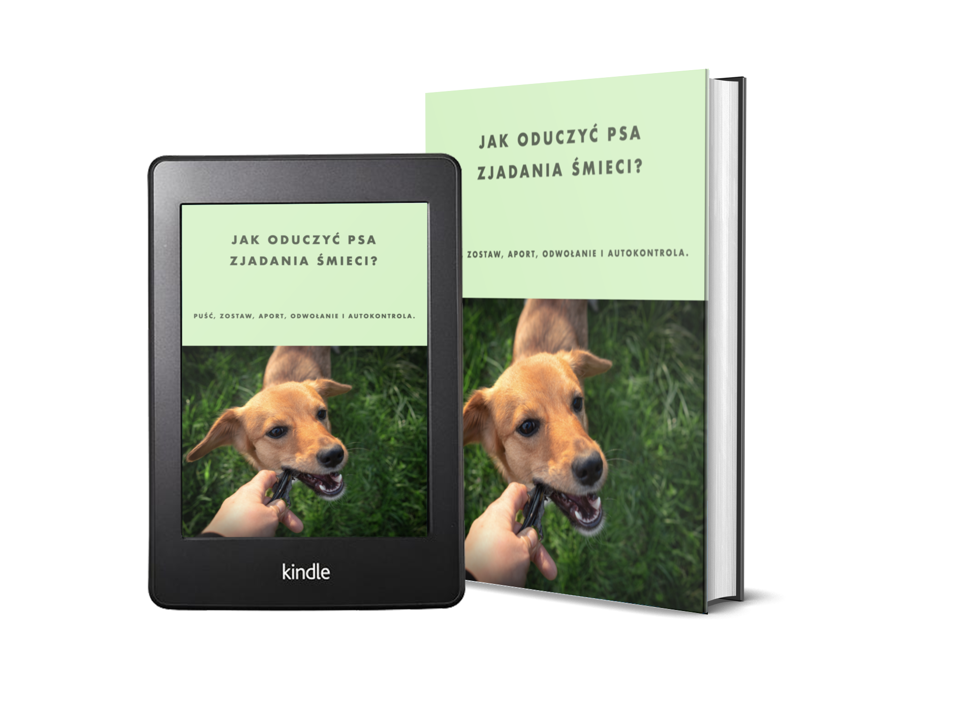 Jak oduczyć psa zjadania śmieci, e-book z filmikami