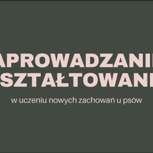 Prawidłowe naprowadzanie i kształtowanie zachowań u psów. Nagranie webinaru- 3,5 h + filmiki