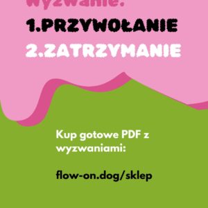 Wyzwanie: przywołanie i zatrzymanie awaryjne.