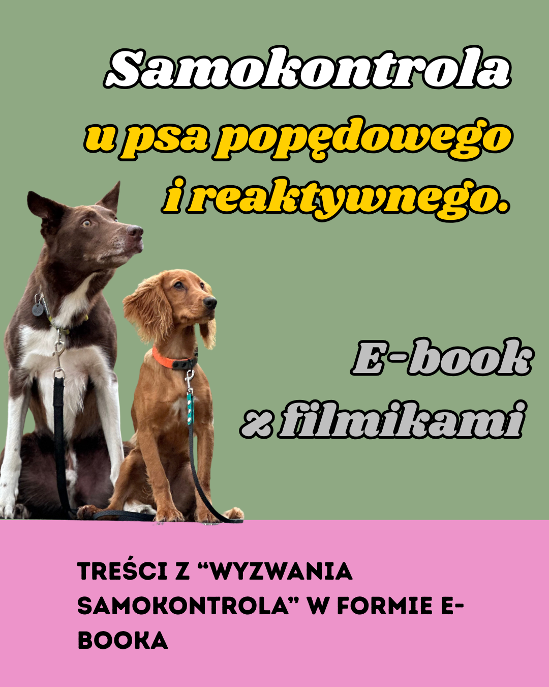 Samokontrola u psów reaktywnych i popędowych. E-book
